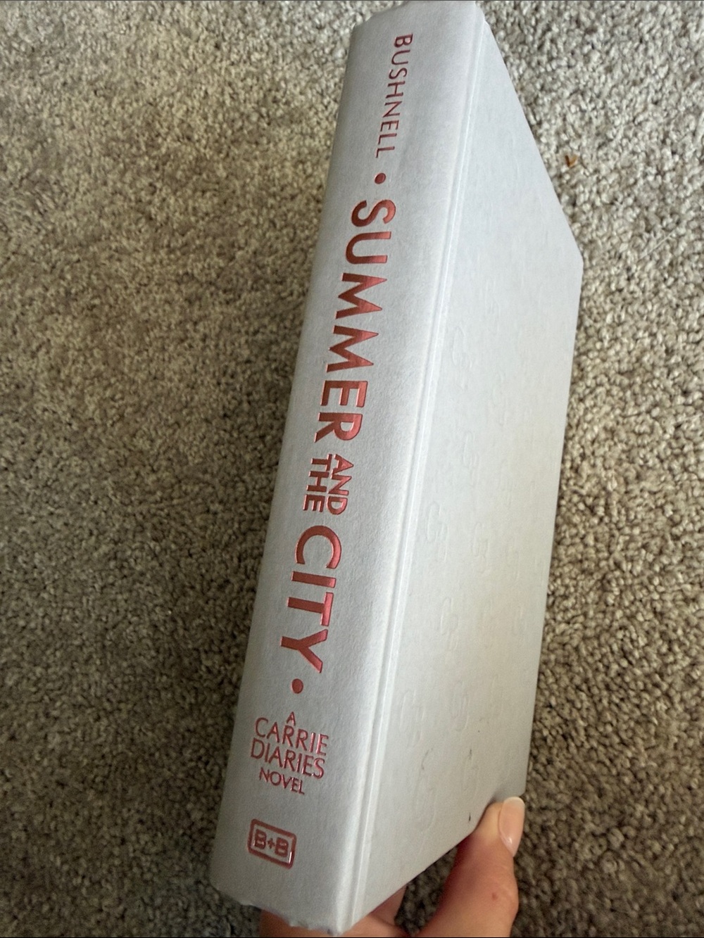 Summer and the City Hardcover
